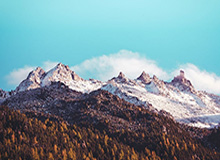 华体会官网：给你最懂你的体育生态